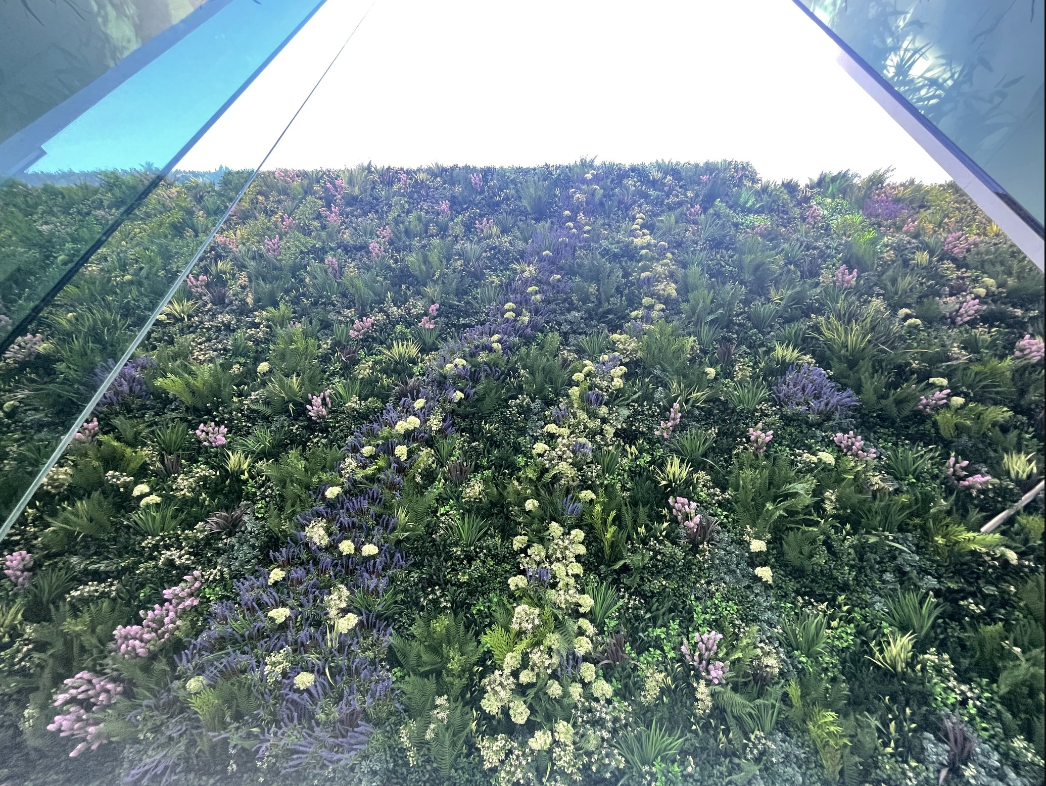 Screenshot 2026-02-24 at 5.07.21 AM