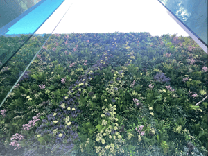 Screenshot 2026-02-24 at 5.07.21 AM