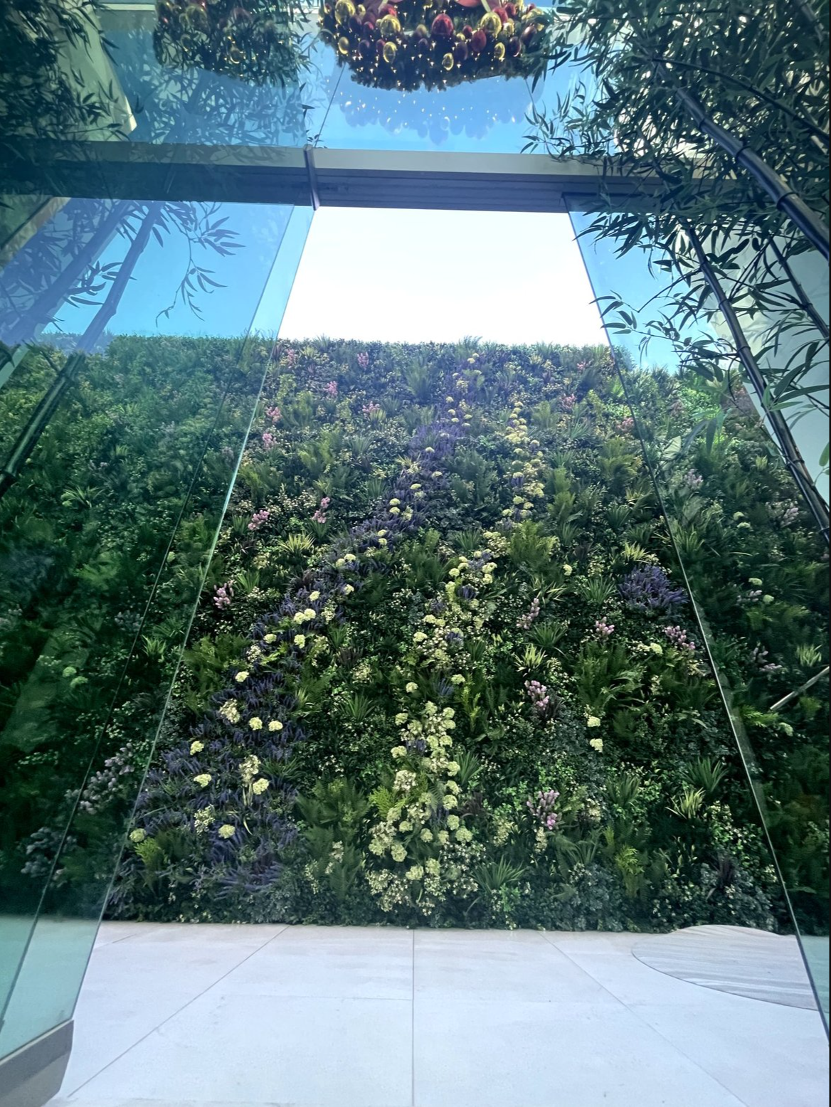 Screenshot 2026-02-24 at 5.07.37 AM