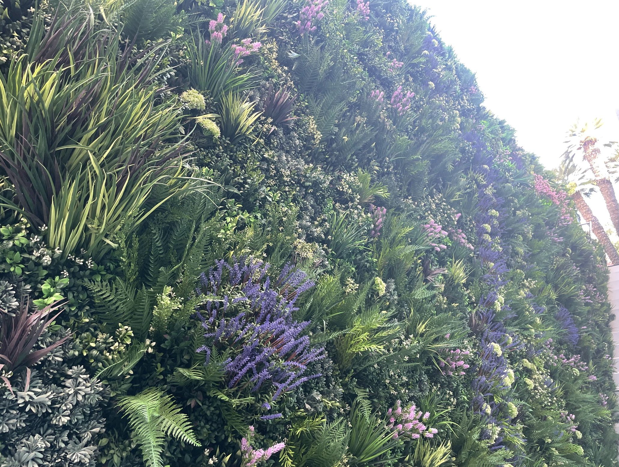 Screenshot 2026-02-24 at 5.08.05 AM