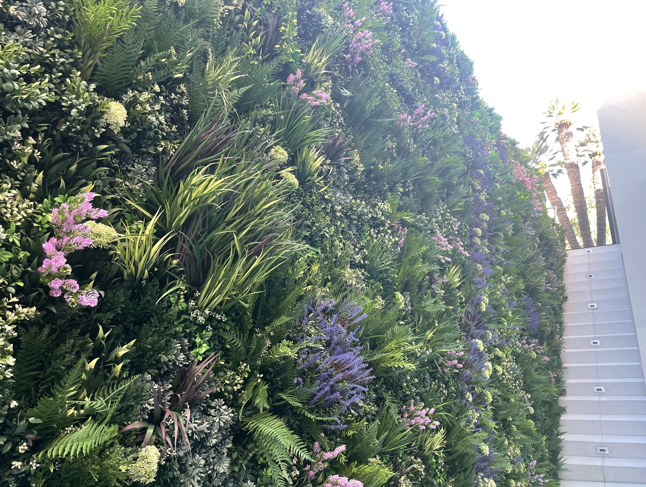 Screenshot 2026-02-24 at 5.08.16 AM