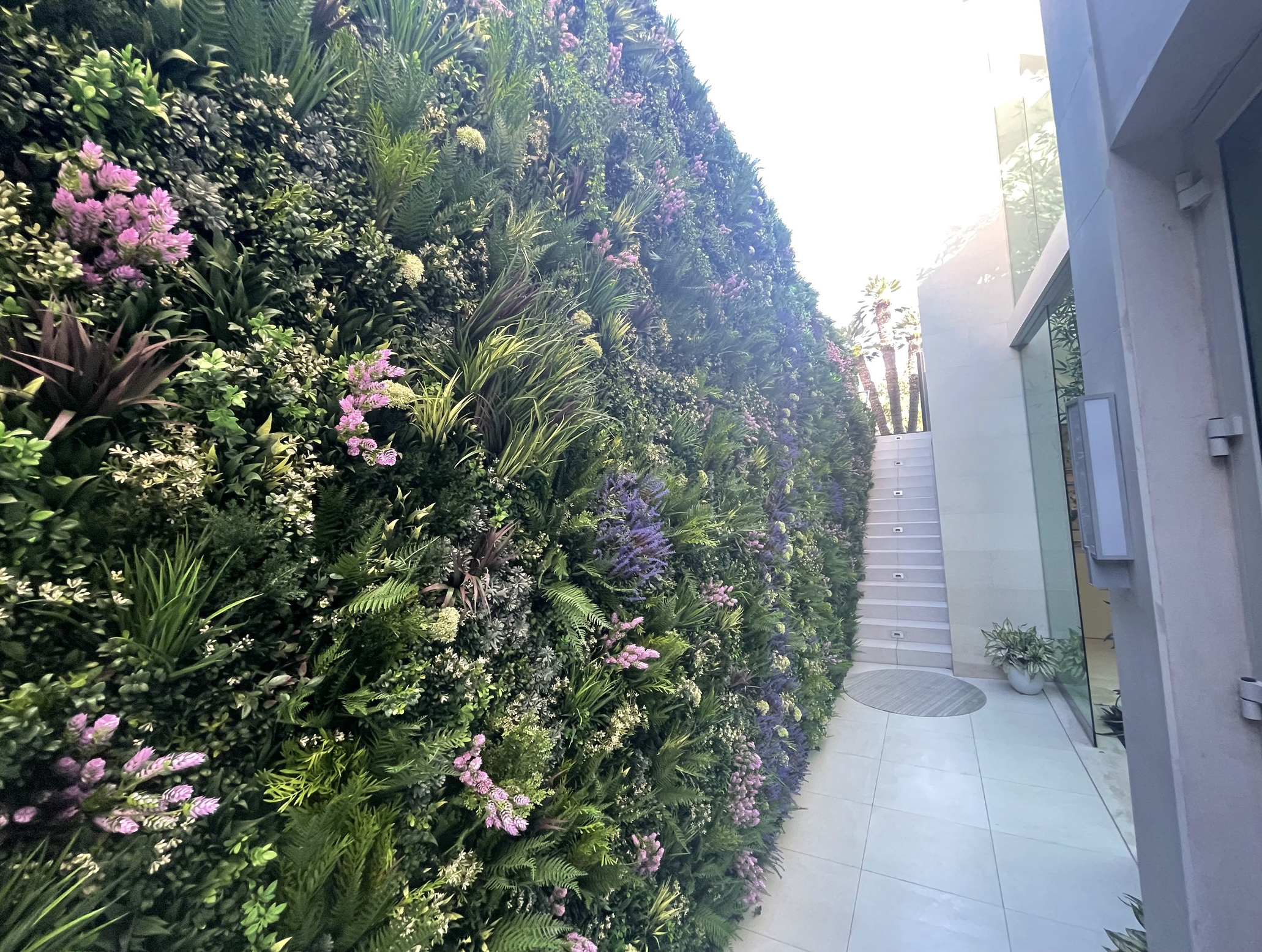 Screenshot 2026-02-24 at 5.08.24 AM