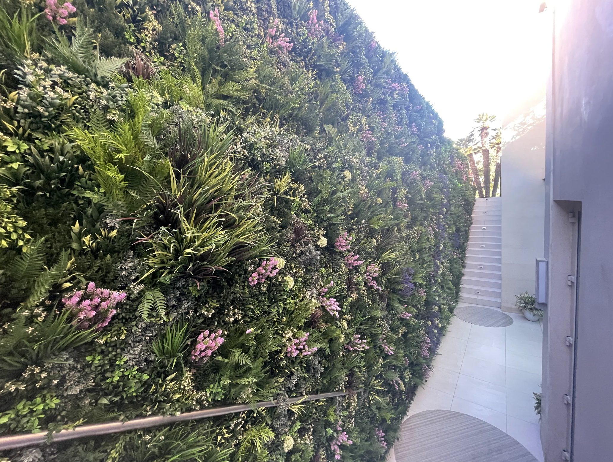 Screenshot 2026-02-24 at 5.08.34 AM