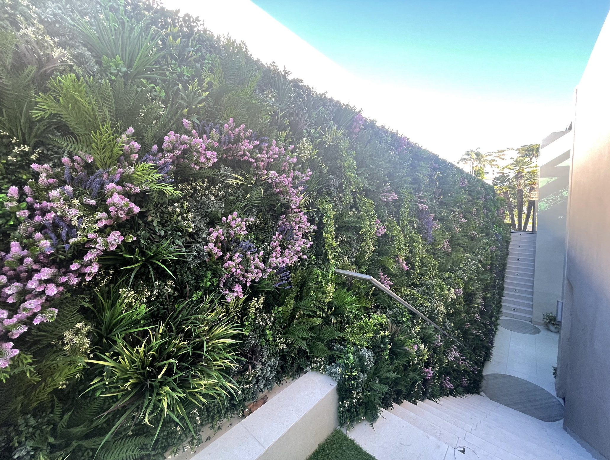 Screenshot 2026-02-24 at 5.09.20 AM