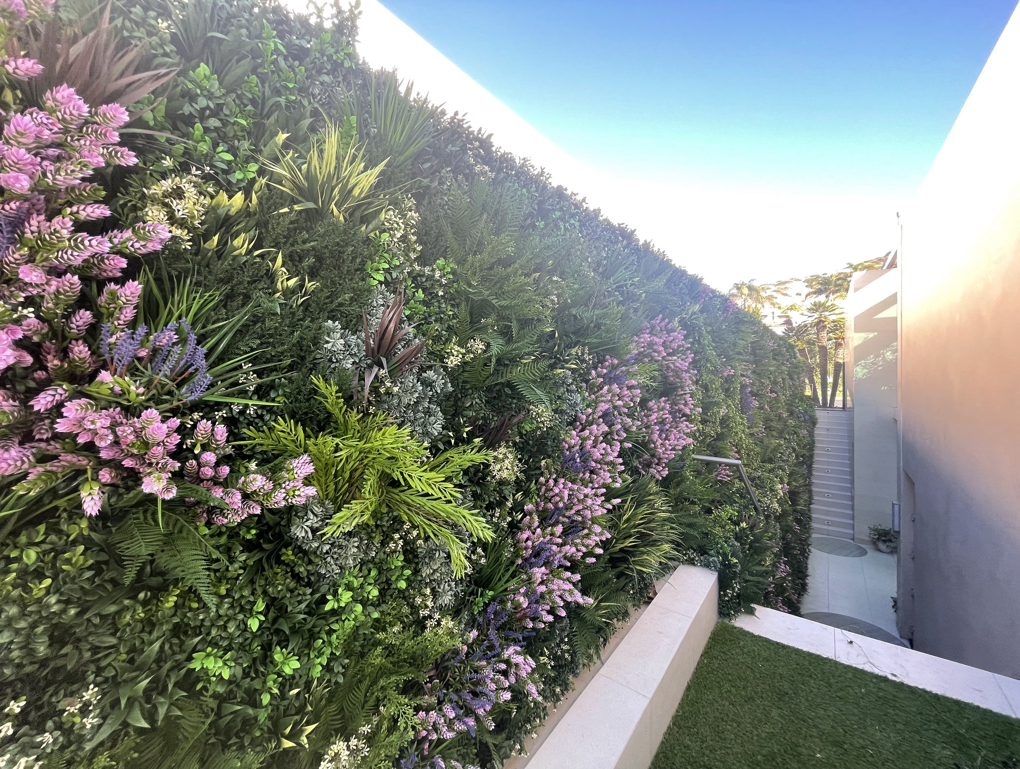 Screenshot 2026-02-24 at 5.09.36 AM