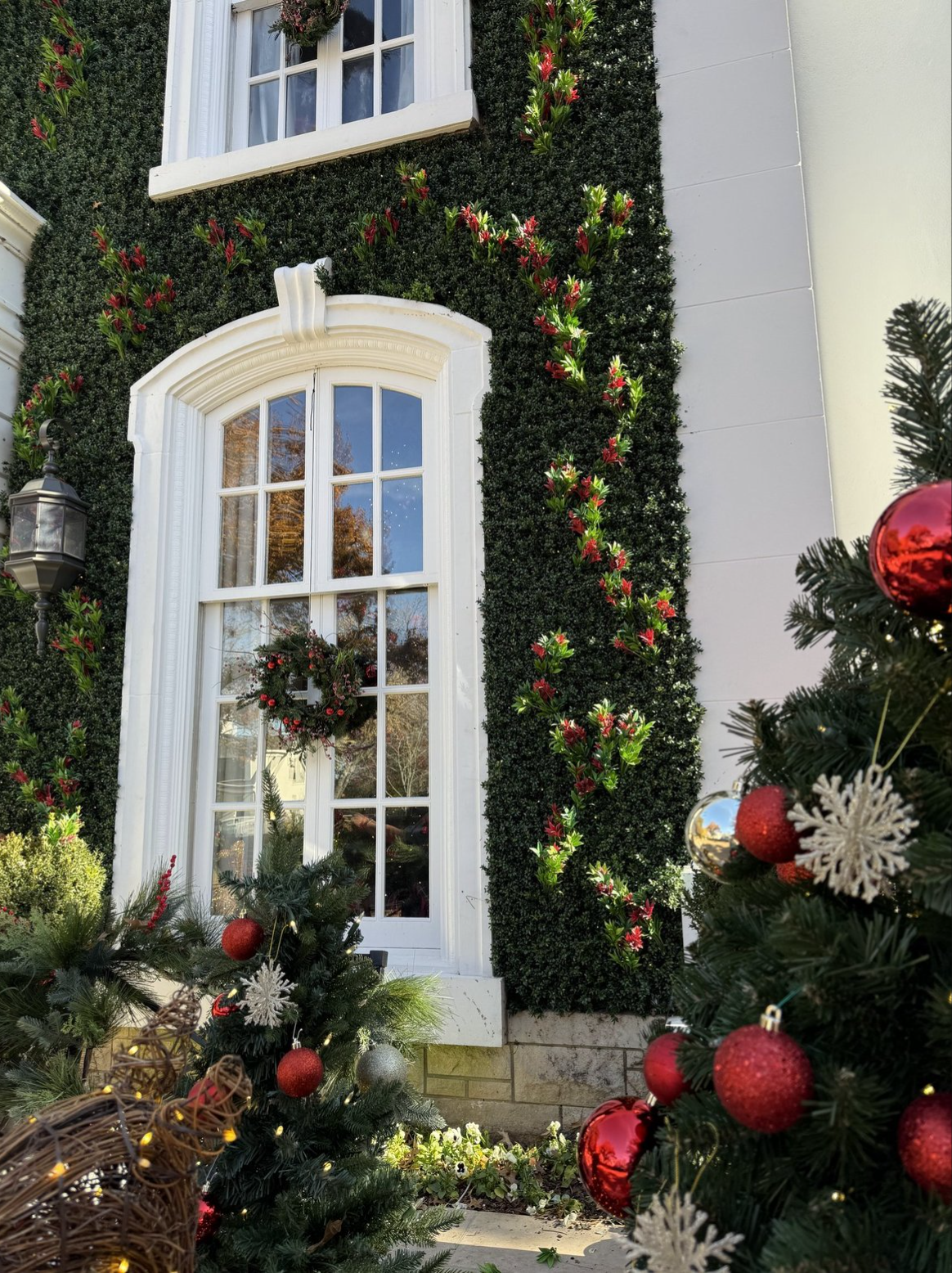 Screenshot 2026-02-24 at 5.32.03 AM