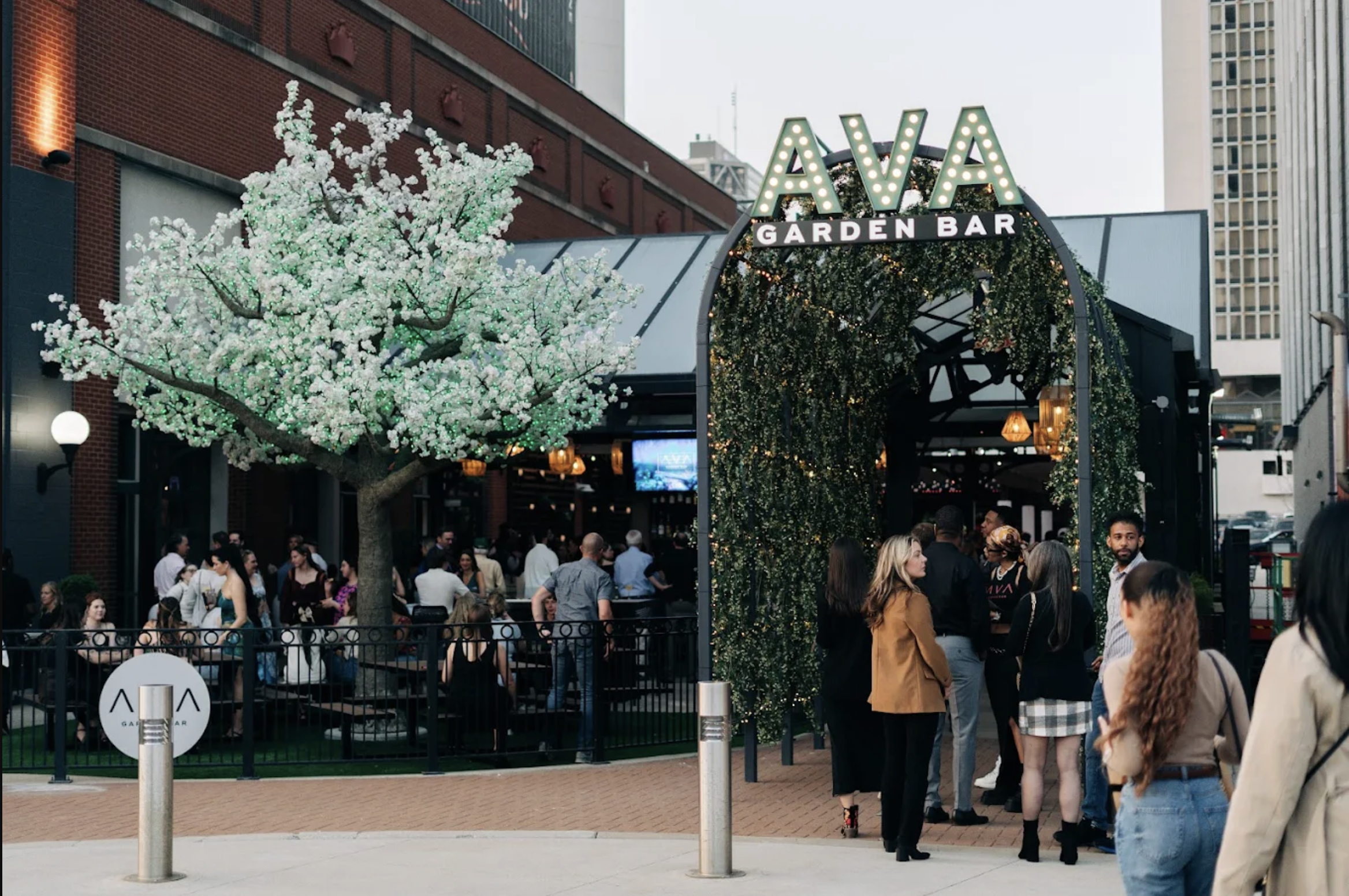 Screenshot 2026-02-25 at 9.10.54 AM