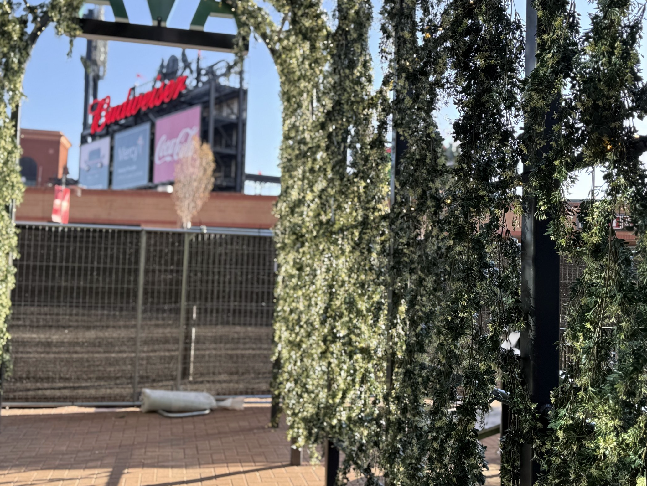 Screenshot 2026-02-25 at 9.11.44 AM