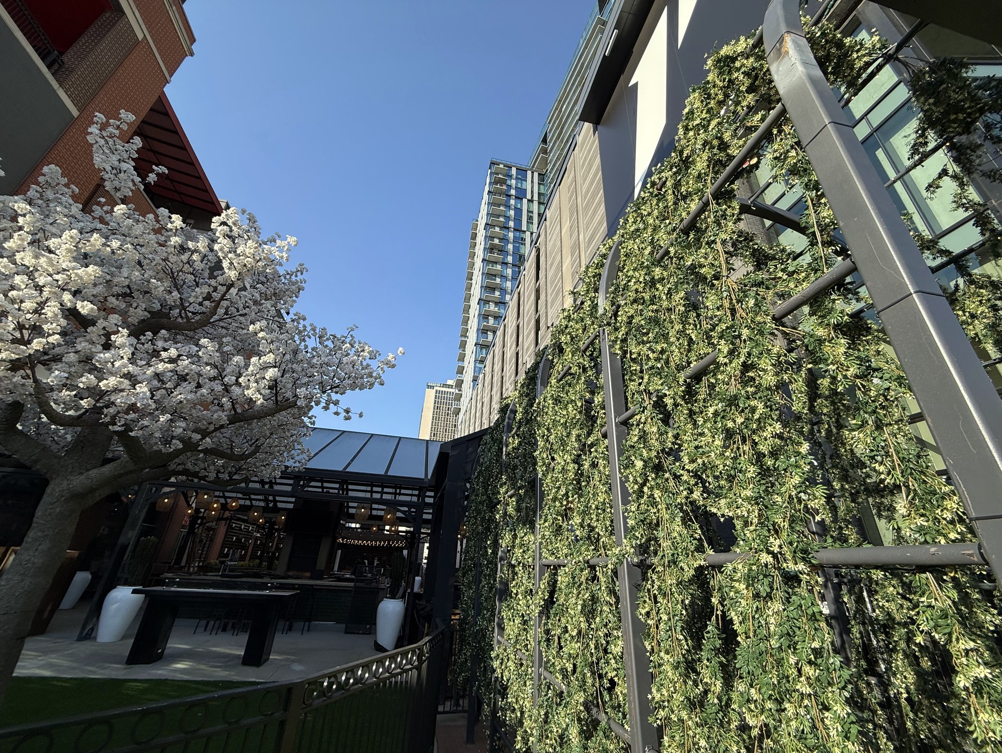 Screenshot 2026-02-25 at 9.13.09 AM