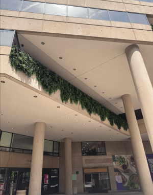 Screenshot 2026-03-04 at 3.19.14 PM