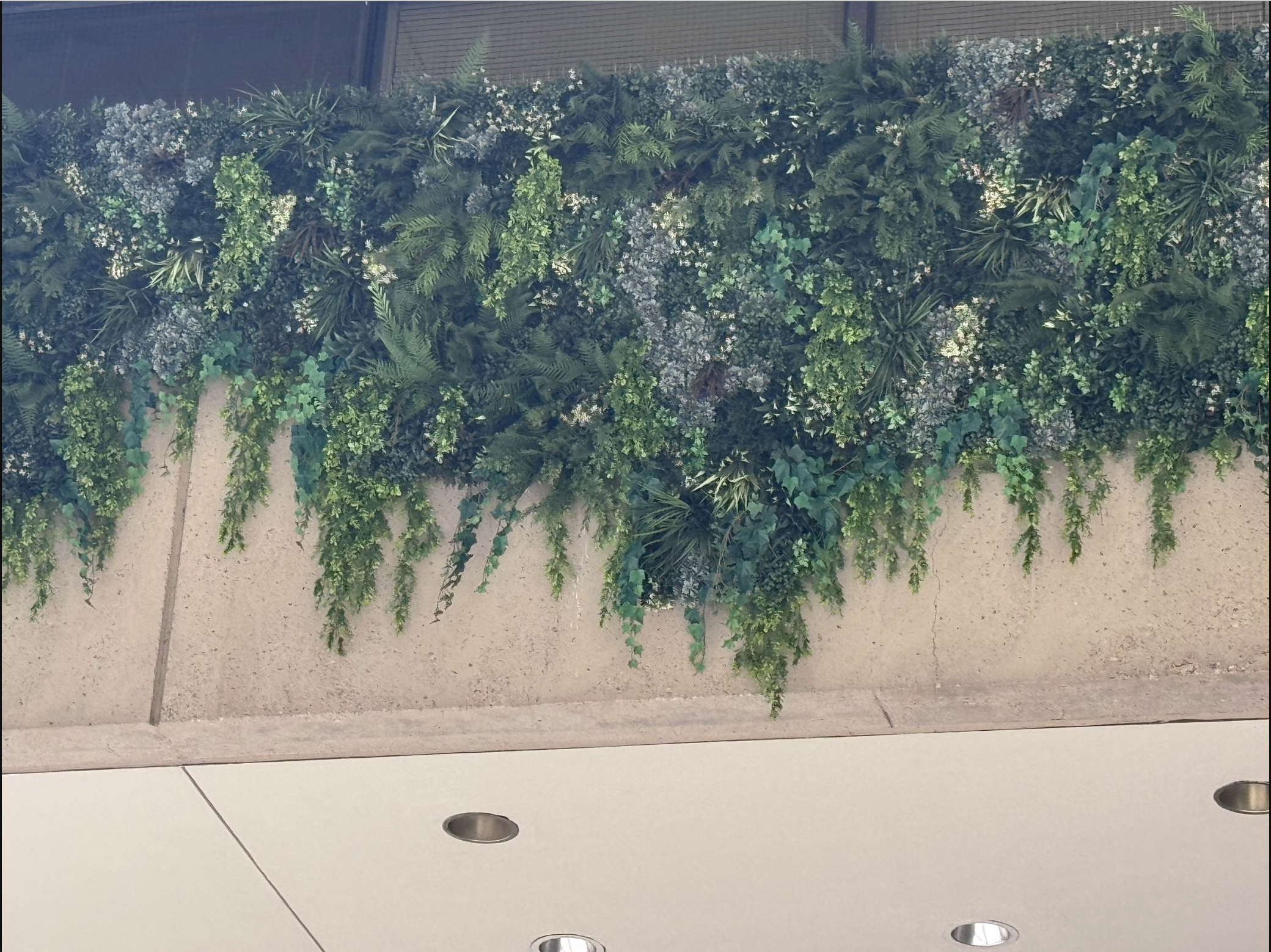 Screenshot 2026-03-04 at 3.20.17 PM