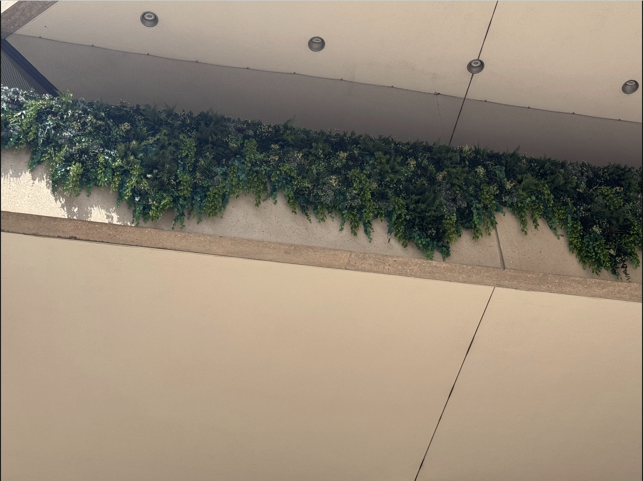 Screenshot 2026-03-04 at 3.22.20 PM