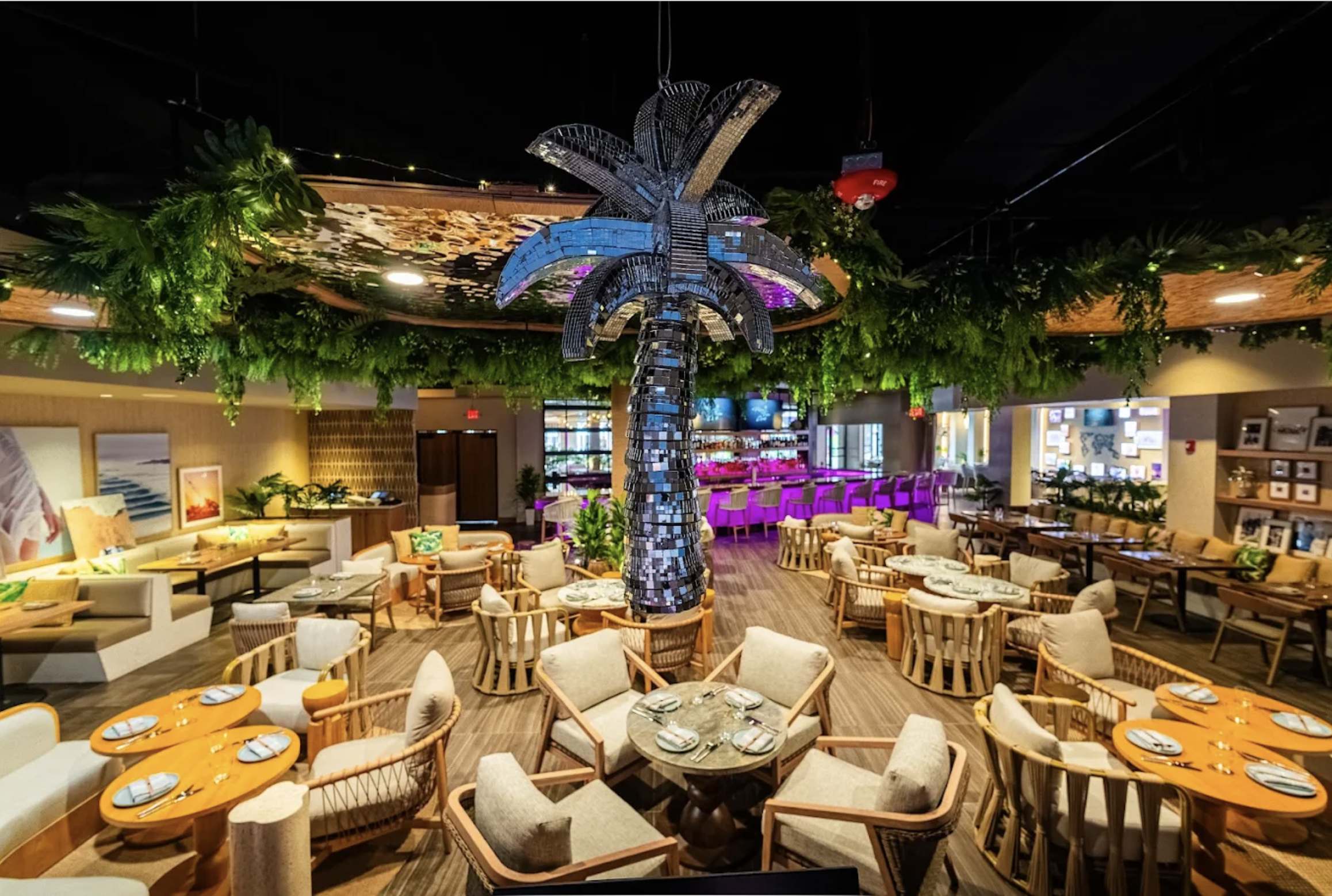 Screenshot 2026-03-04 at 3.50.43 PM