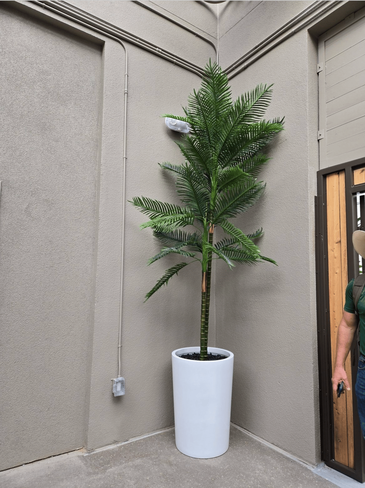 Screenshot 2026-03-04 at 3.52.45 PM