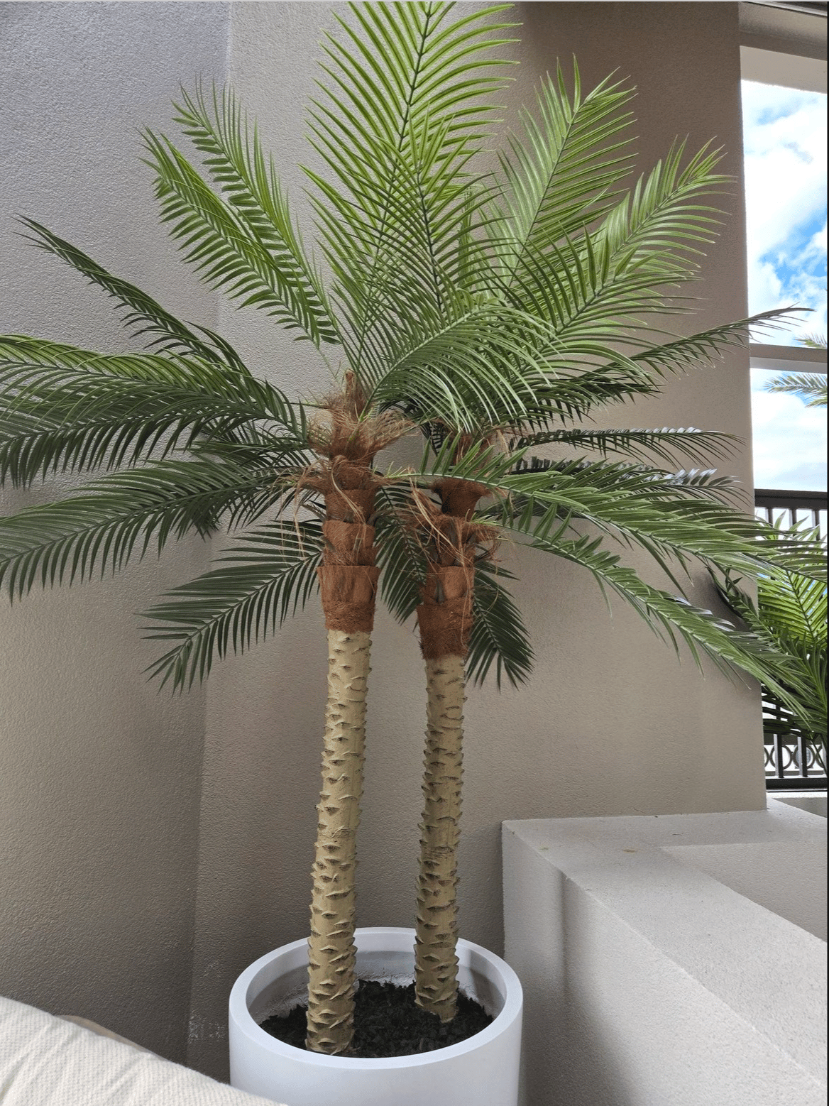 Screenshot 2026-03-04 at 3.58.19 PM