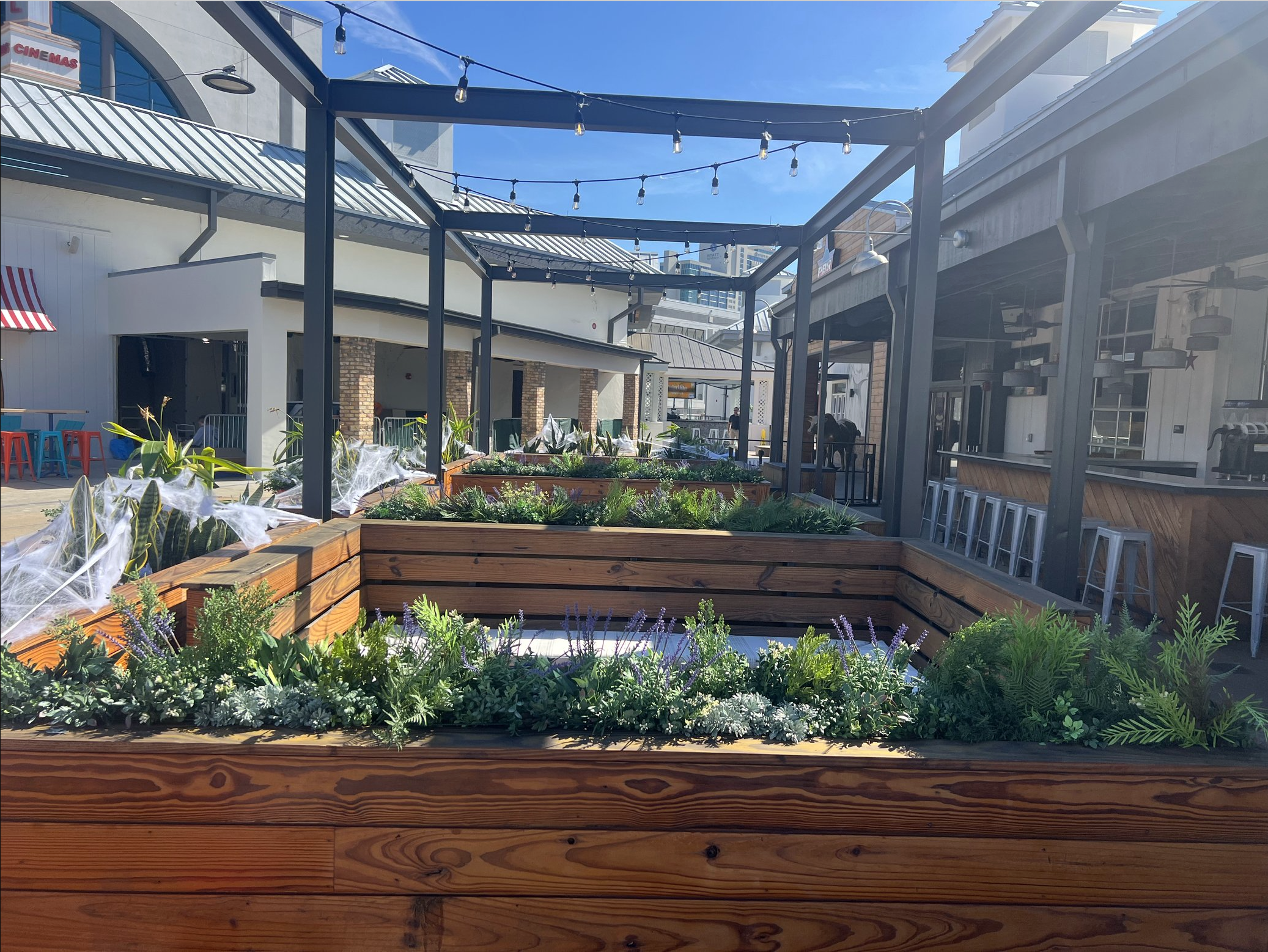 Screenshot 2026-03-04 at 4.06.29 PM