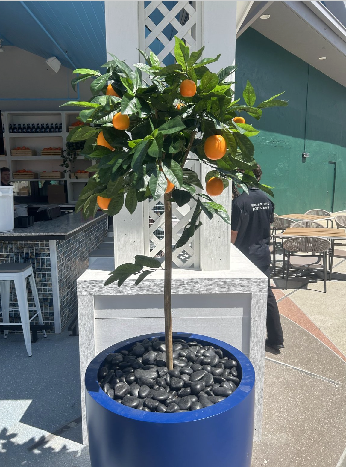 Screenshot 2026-03-04 at 4.08.14 PM