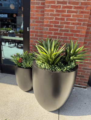 Screenshot 2026-03-05 at 1.04.08 PM