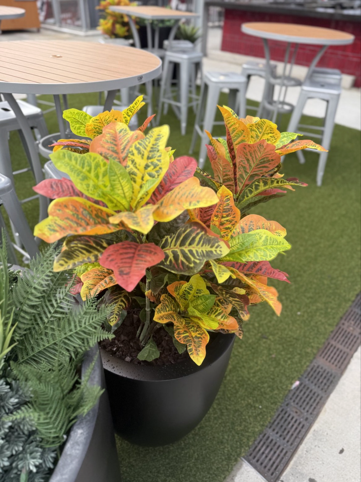 Screenshot 2026-03-05 at 1.05.31 PM