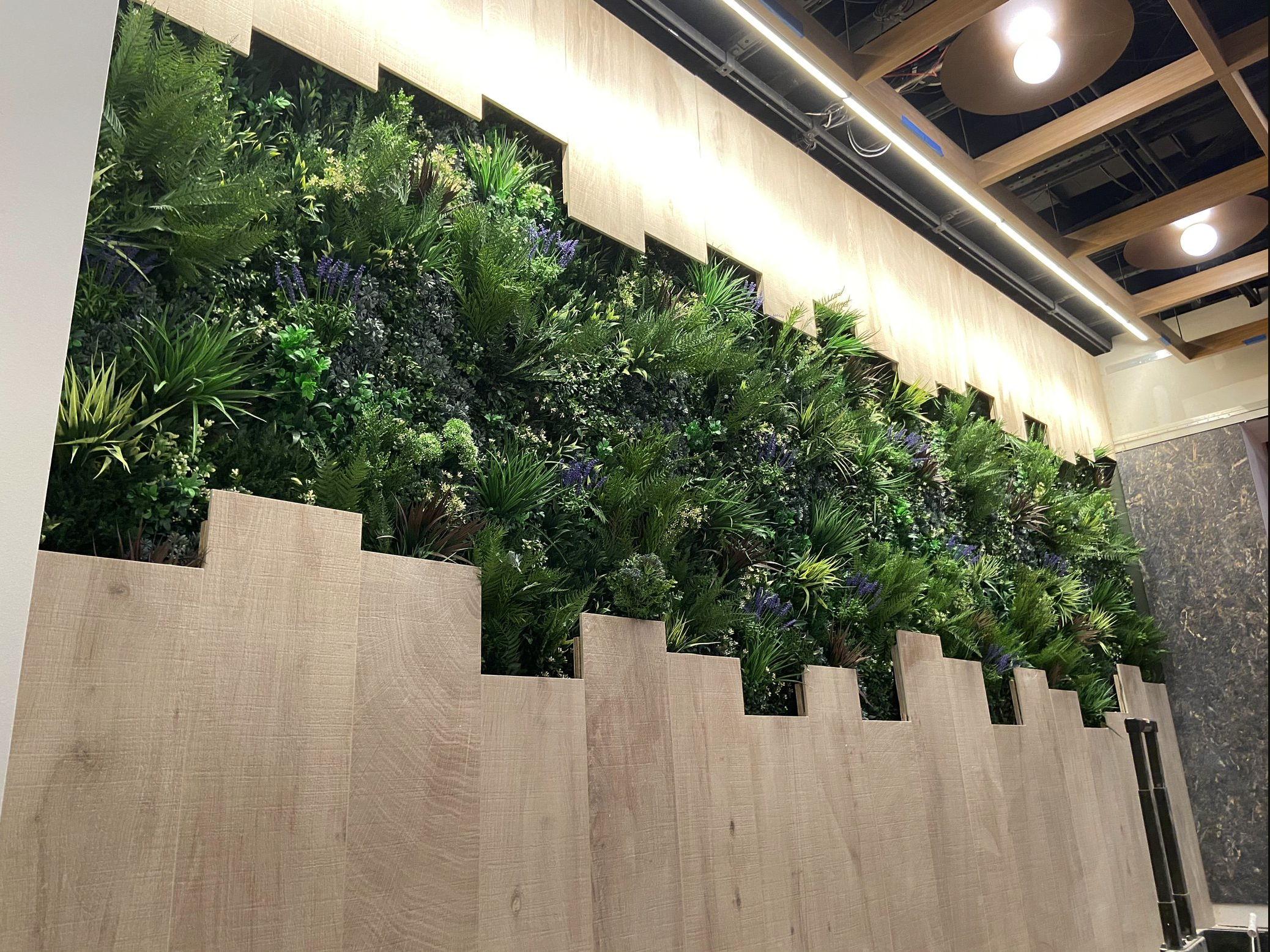 Screenshot 2026-03-06 at 3.26.14 PM