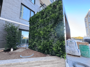 Screenshot 2026-03-10 at 7.41.31 AM