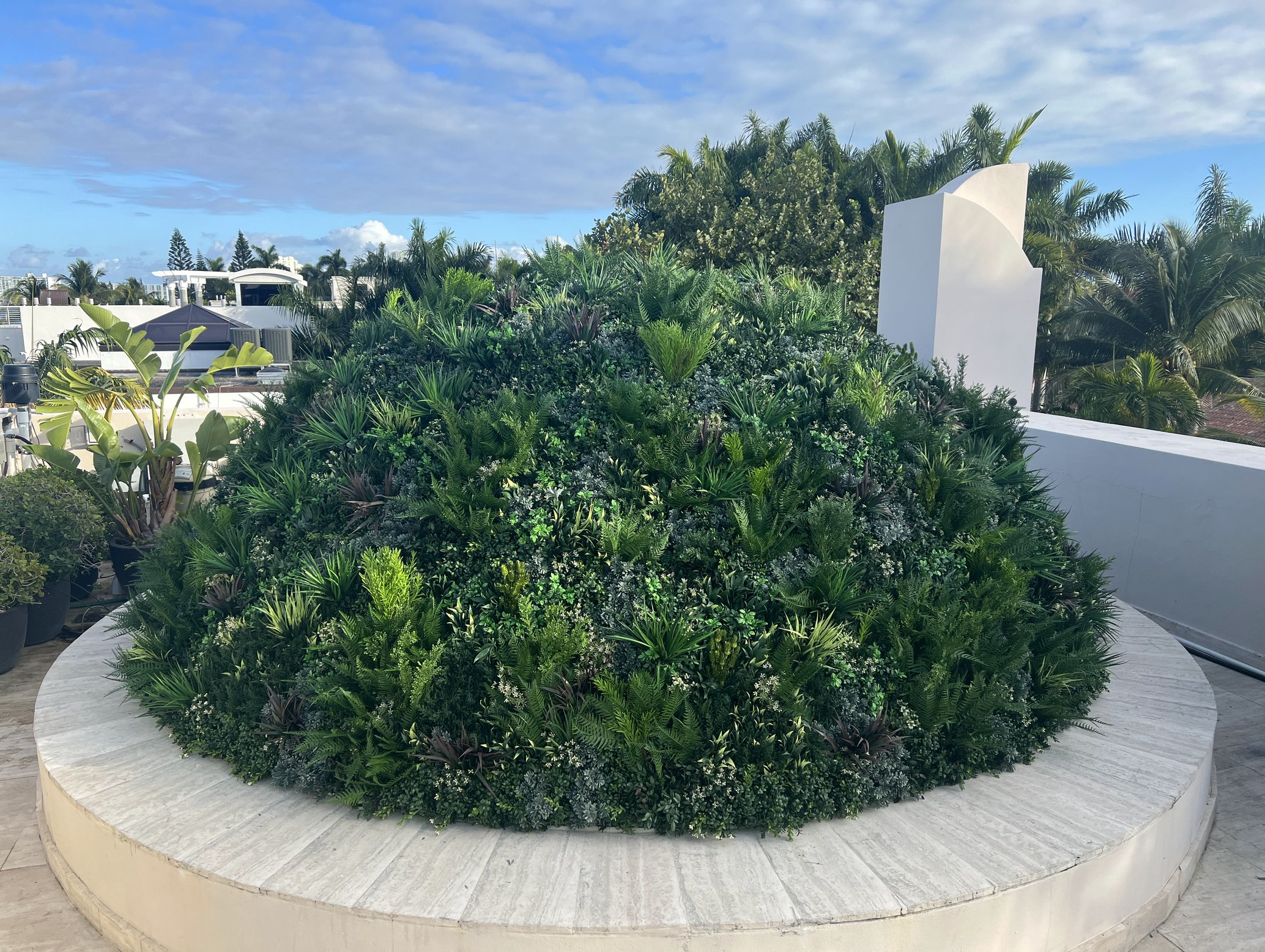 Screenshot 2026-03-11 at 11.35.19 AM