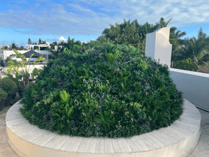 Screenshot 2026-03-11 at 11.35.19 AM