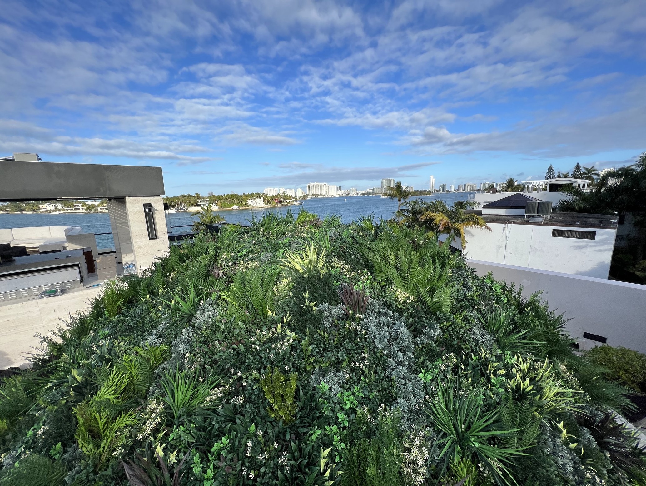 Screenshot 2026-03-11 at 11.35.36 AM