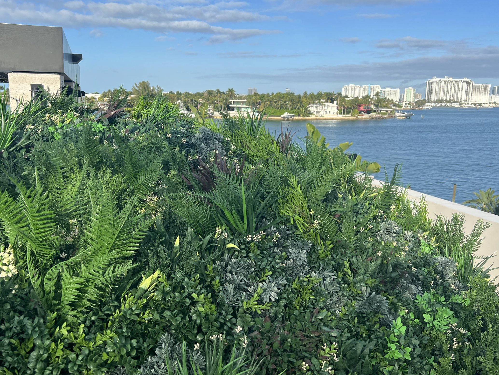 Screenshot 2026-03-11 at 11.35.49 AM