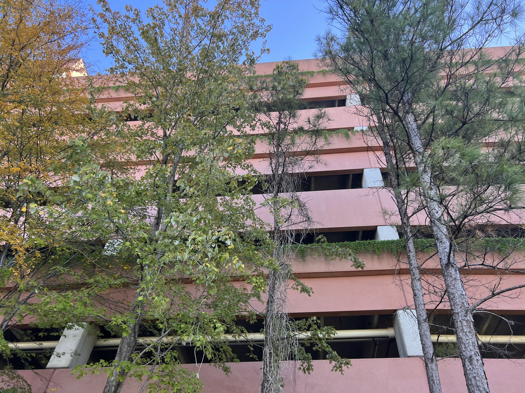 Screenshot 2026-03-11 at 12.48.53 PM