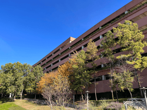 Screenshot 2026-03-11 at 12.49.37 PM