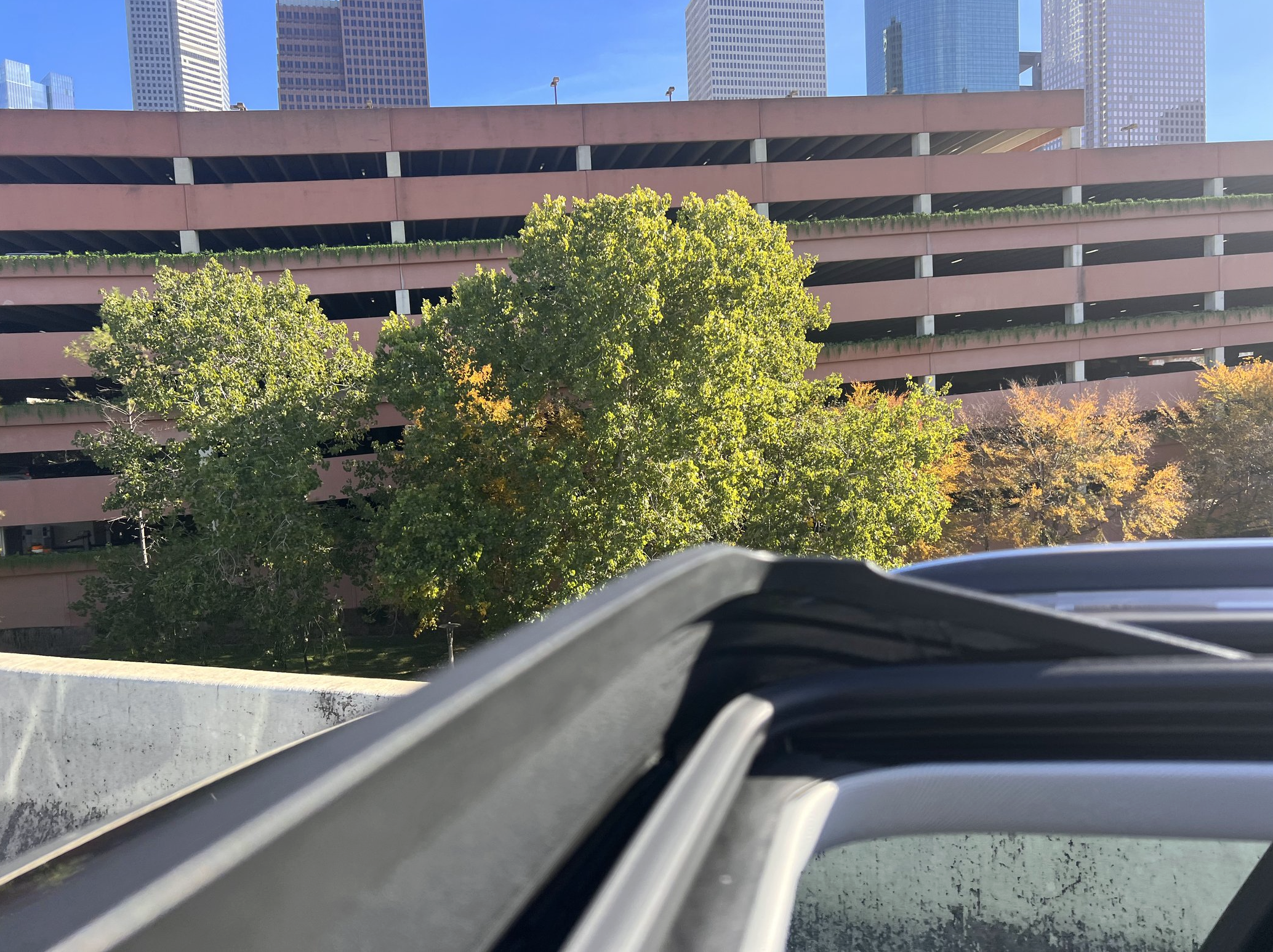 Screenshot 2026-03-11 at 12.50.20 PM