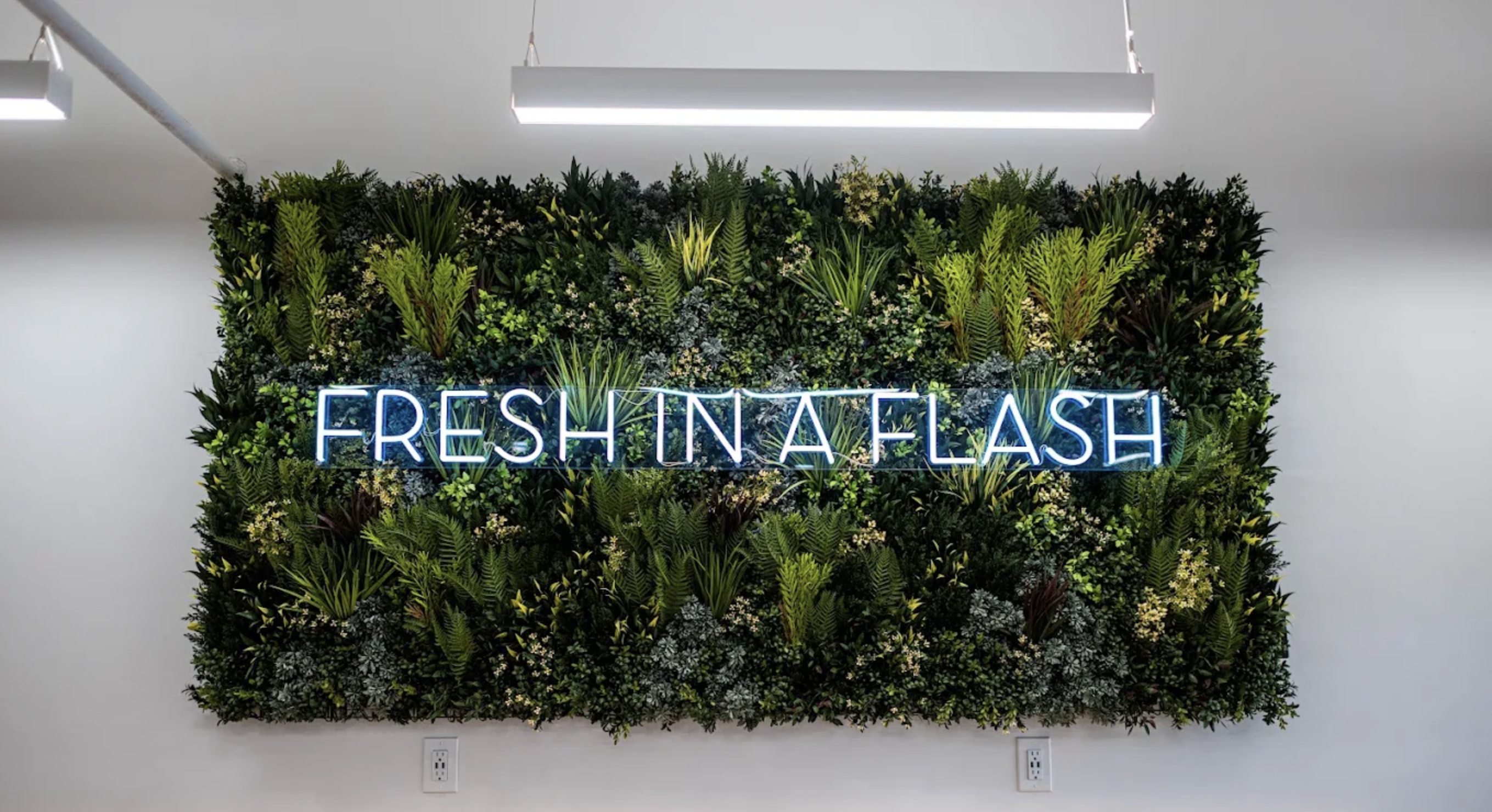 Screenshot 2026-03-11 at 4.36.56 PM