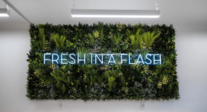 Screenshot 2026-03-11 at 4.36.56 PM