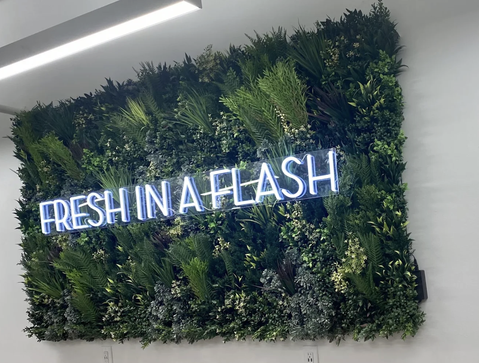 Screenshot 2026-03-11 at 4.38.20 PM