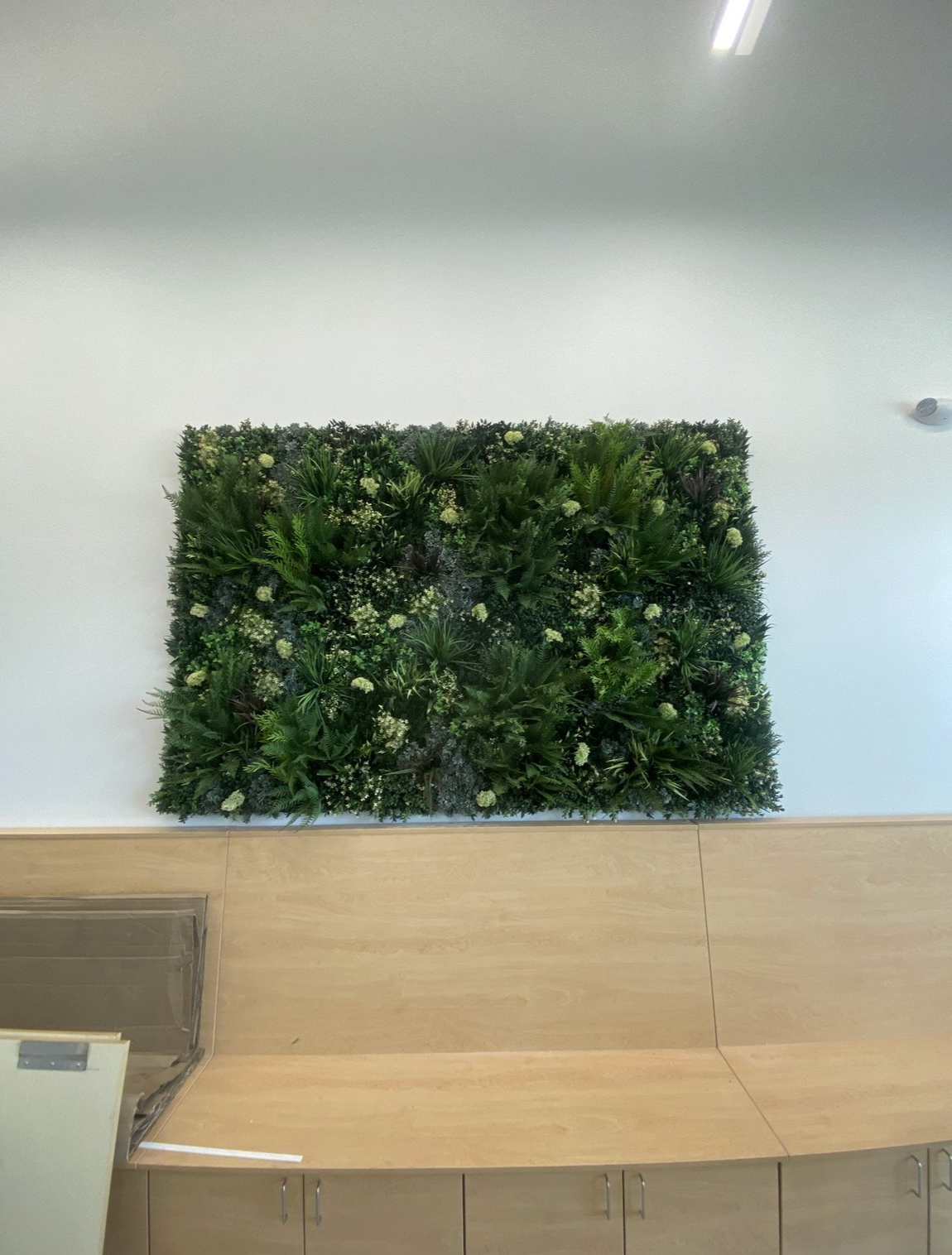 Screenshot 2026-03-11 at 4.56.30 PM