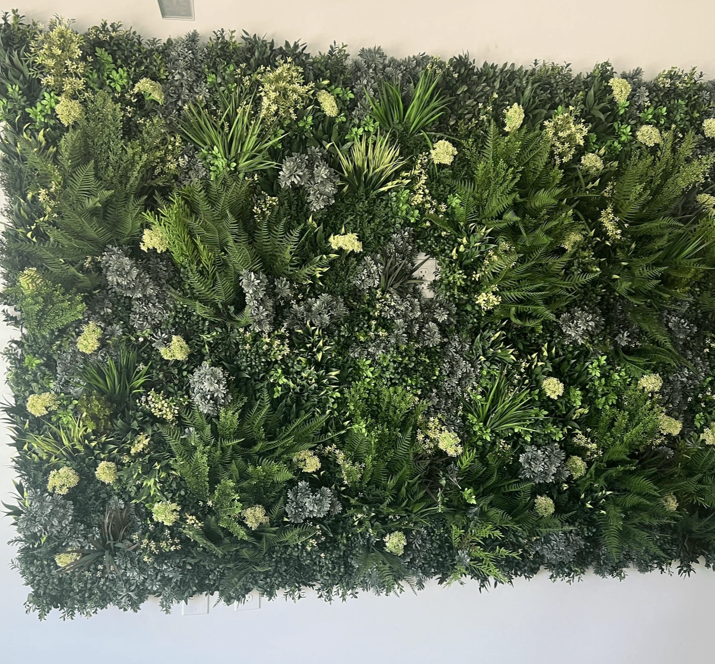 Screenshot 2026-03-11 at 5.14.58 PM