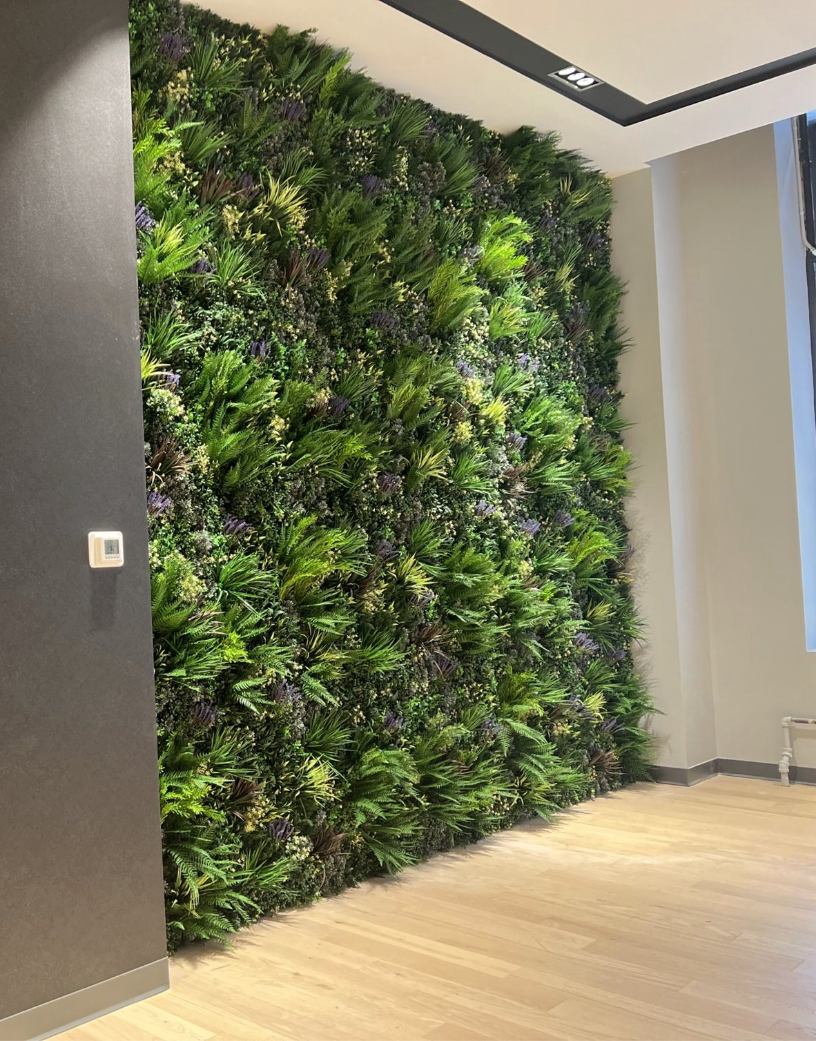 Screenshot 2026-03-13 at 12.17.10 PM