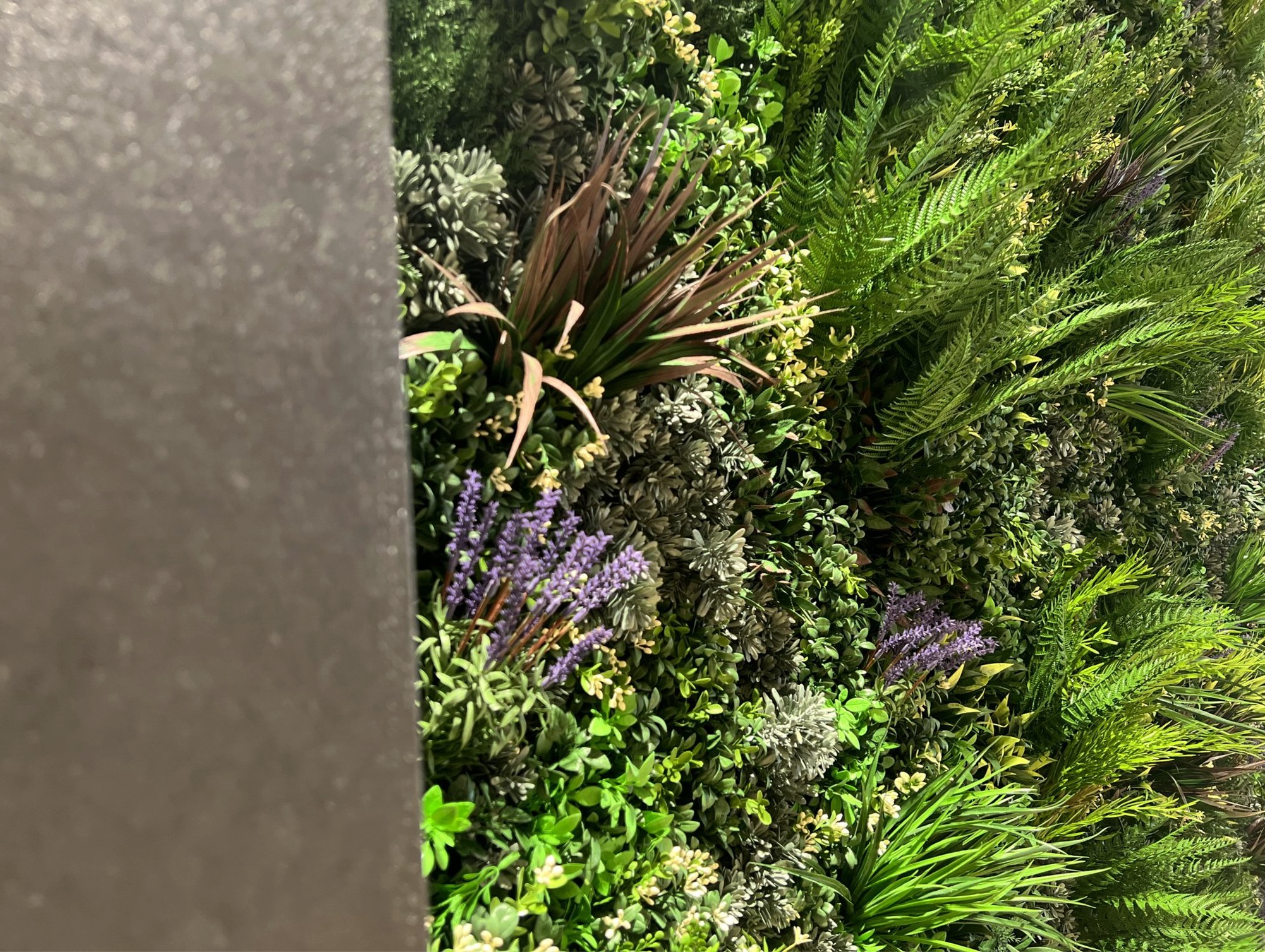 Screenshot 2026-03-13 at 12.17.27 PM