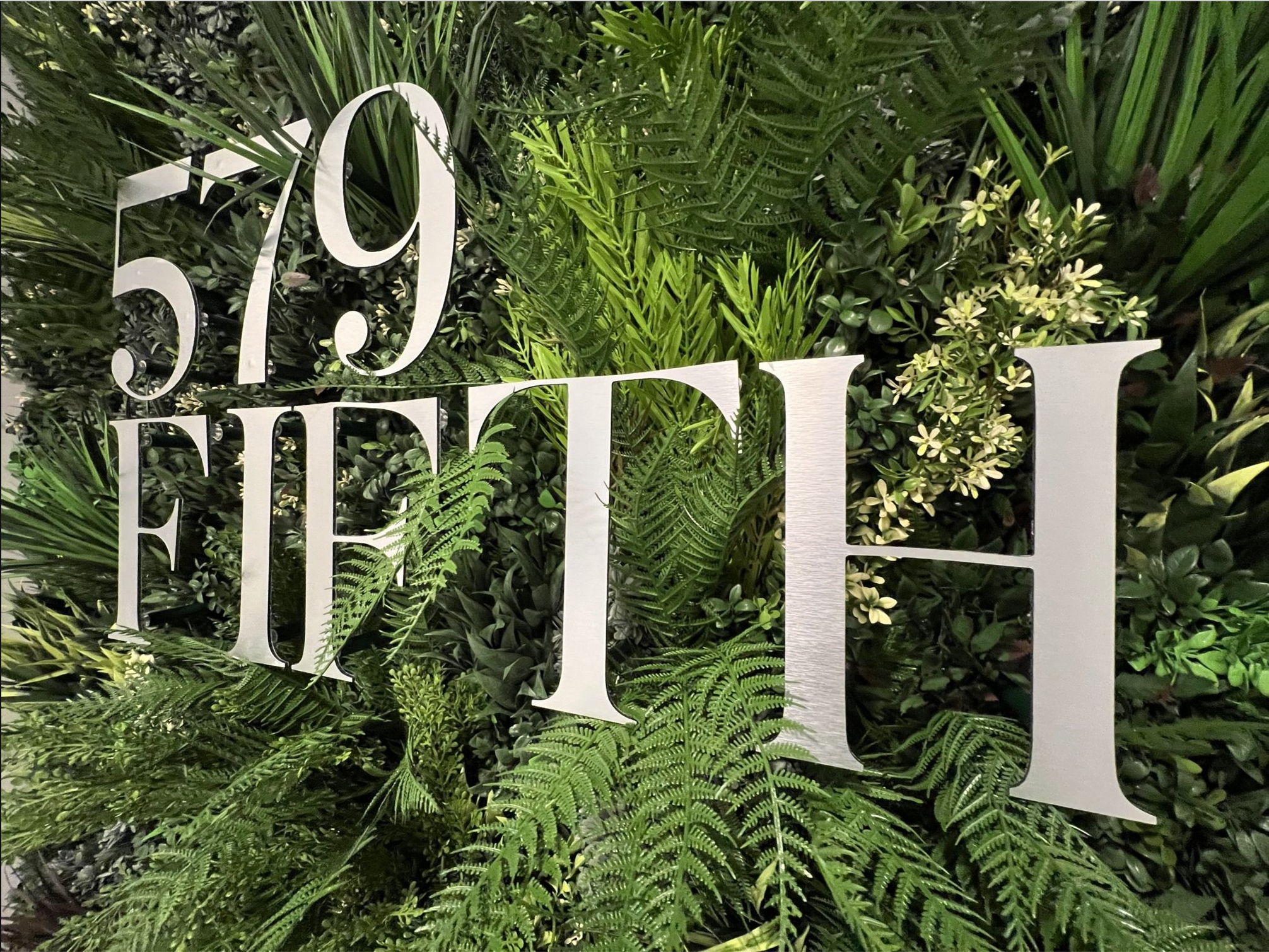 Screenshot 2026-03-13 at 3.35.55 PM