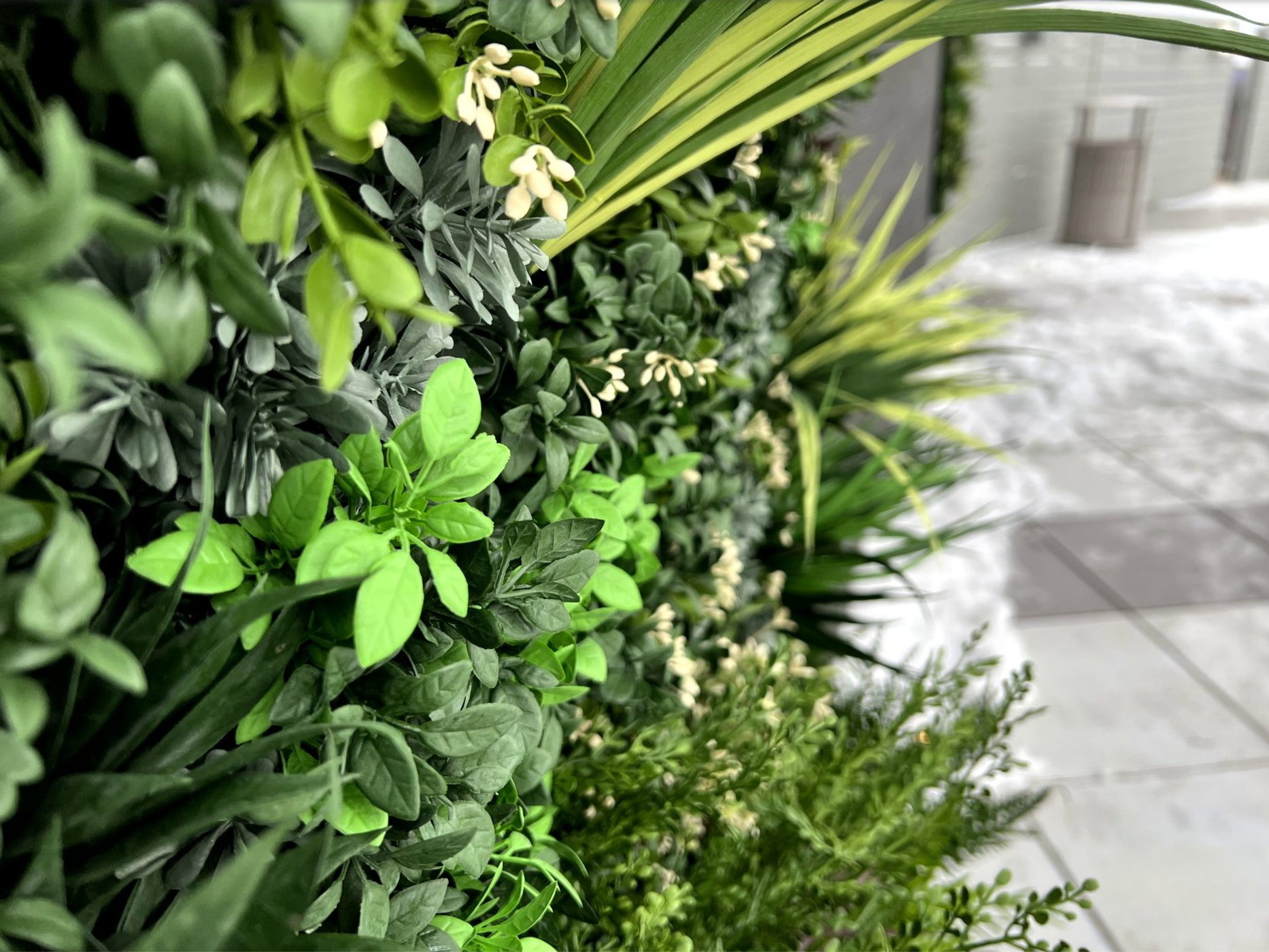 Screenshot 2026-03-16 at 12.12.54 PM