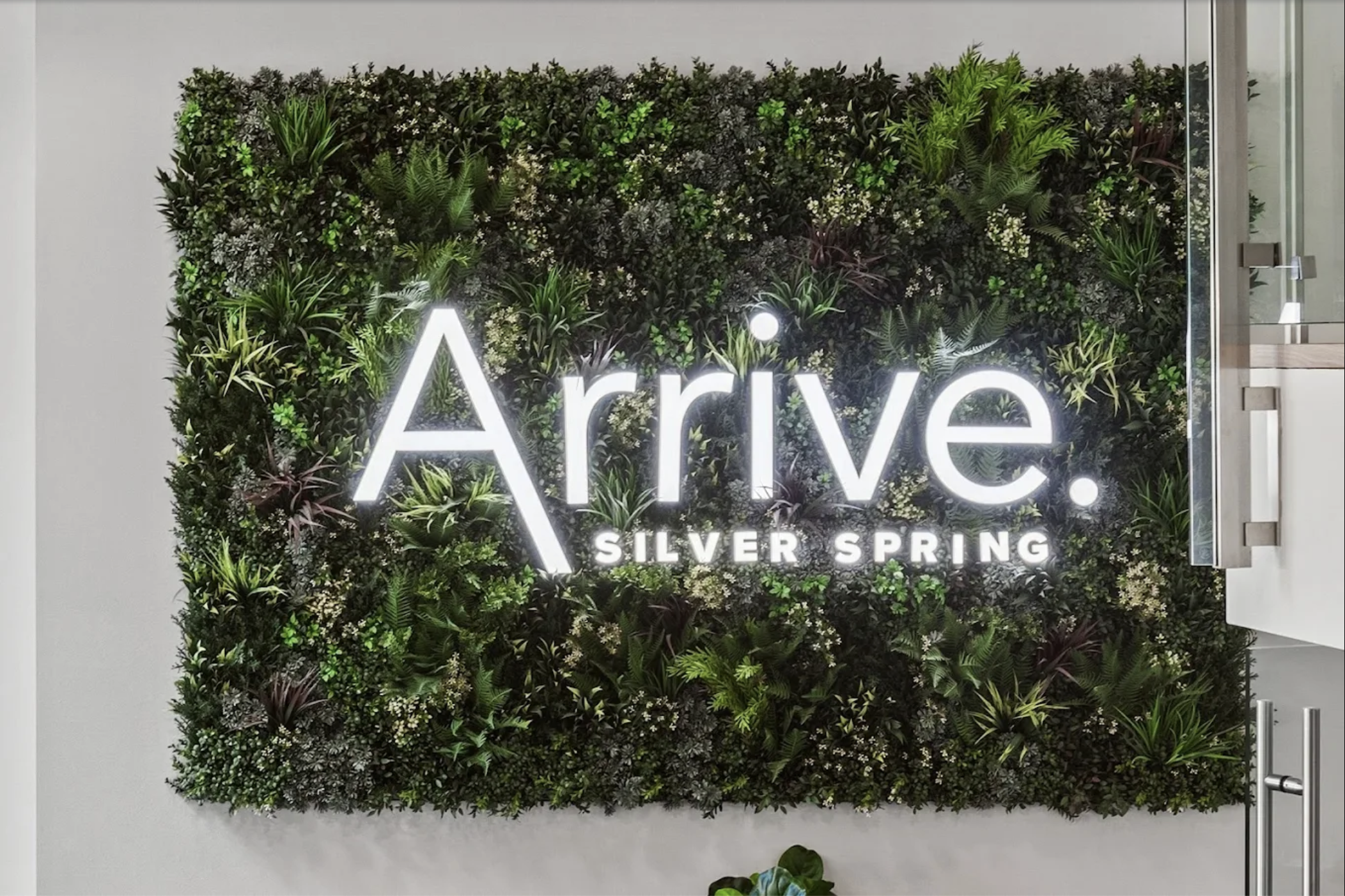 Screenshot 2026-03-16 at 12.13.23 PM