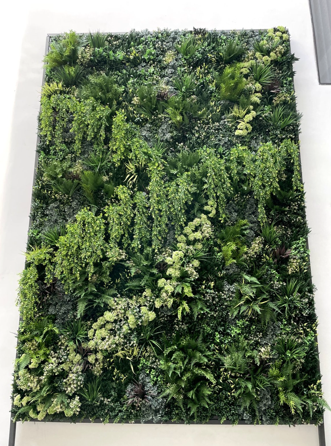 Screenshot 2026-03-16 at 4.37.59 PM