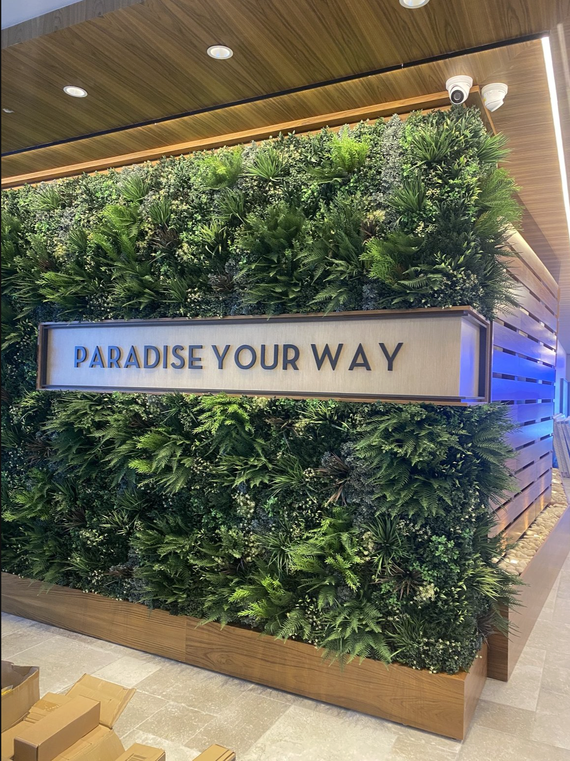 Screenshot 2026-03-17 at 6.31.11 PM