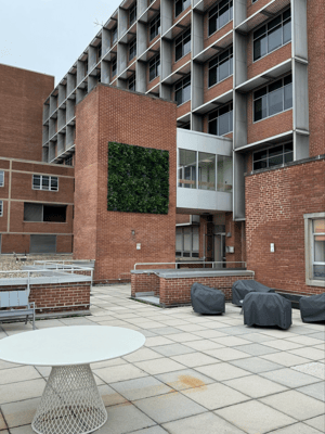 Screenshot 2026-03-23 at 5.01.32 PM