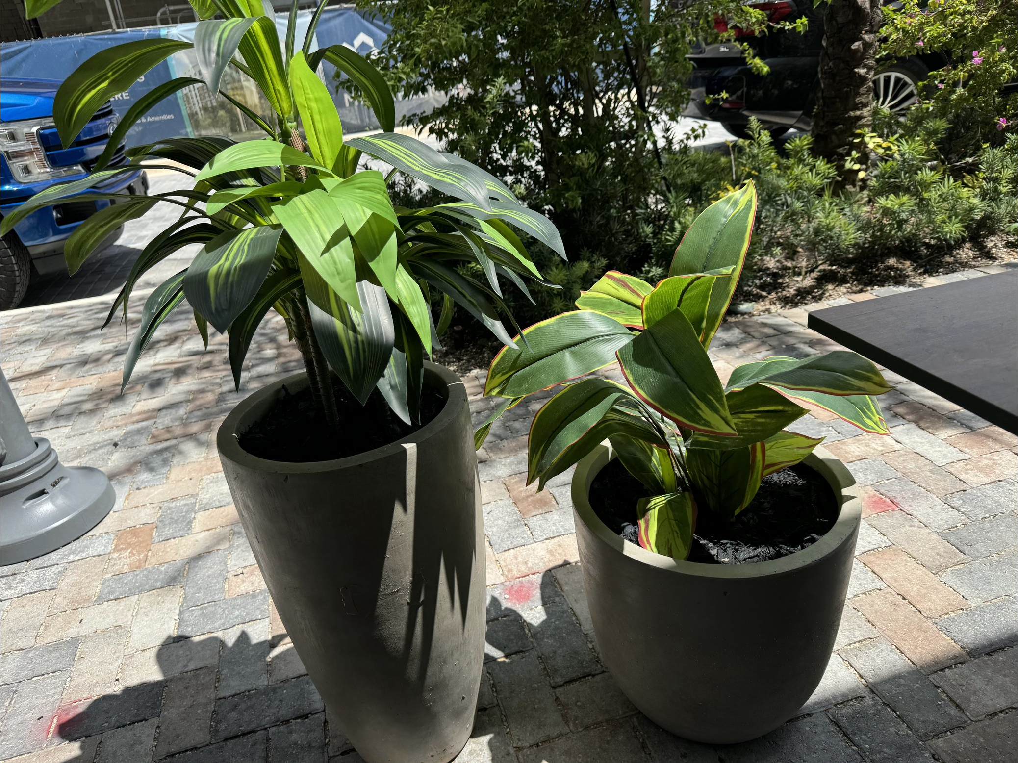 Screenshot 2026-04-08 at 7.31.07 PM