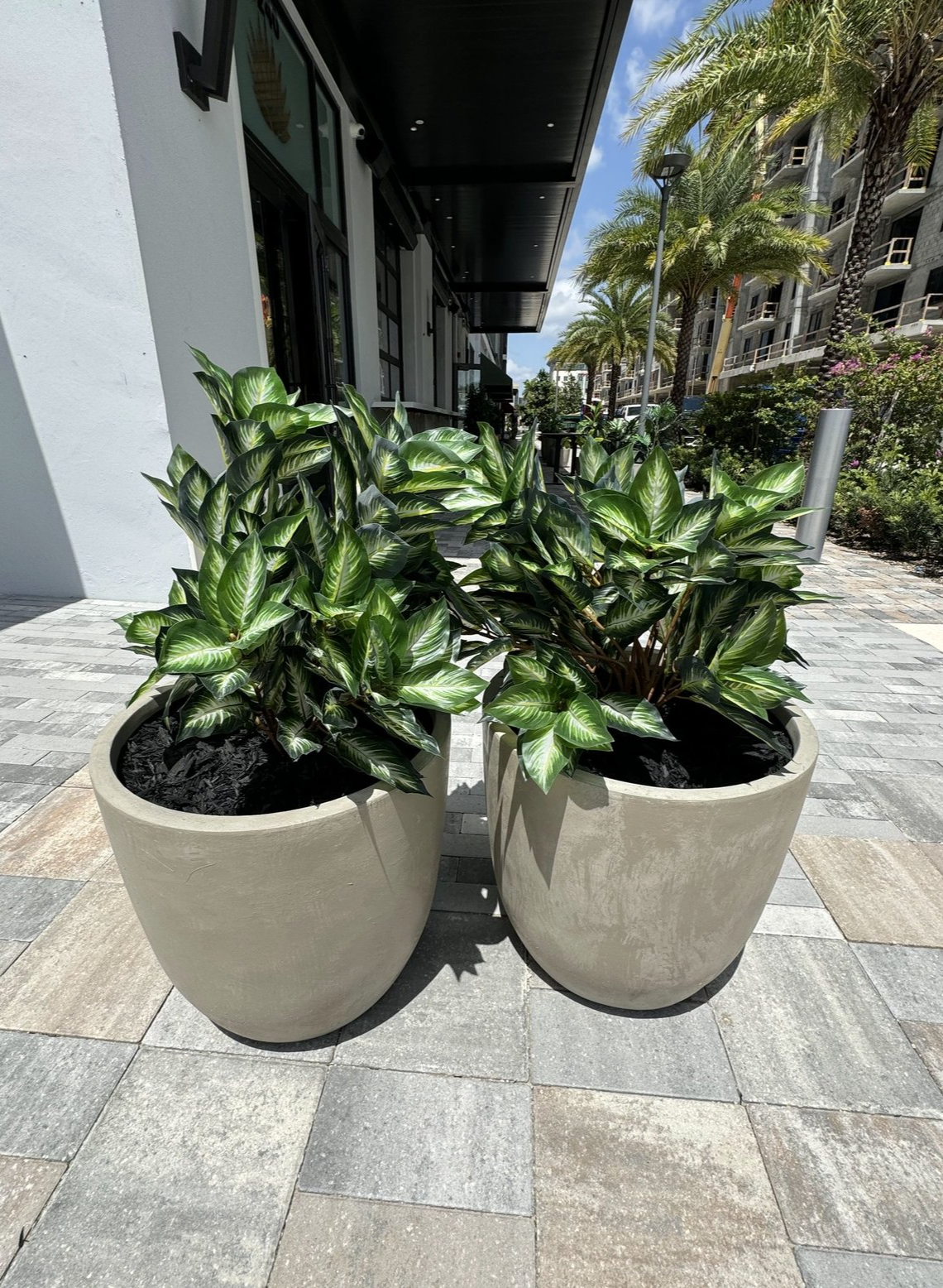 Screenshot 2026-04-08 at 7.32.55 PM