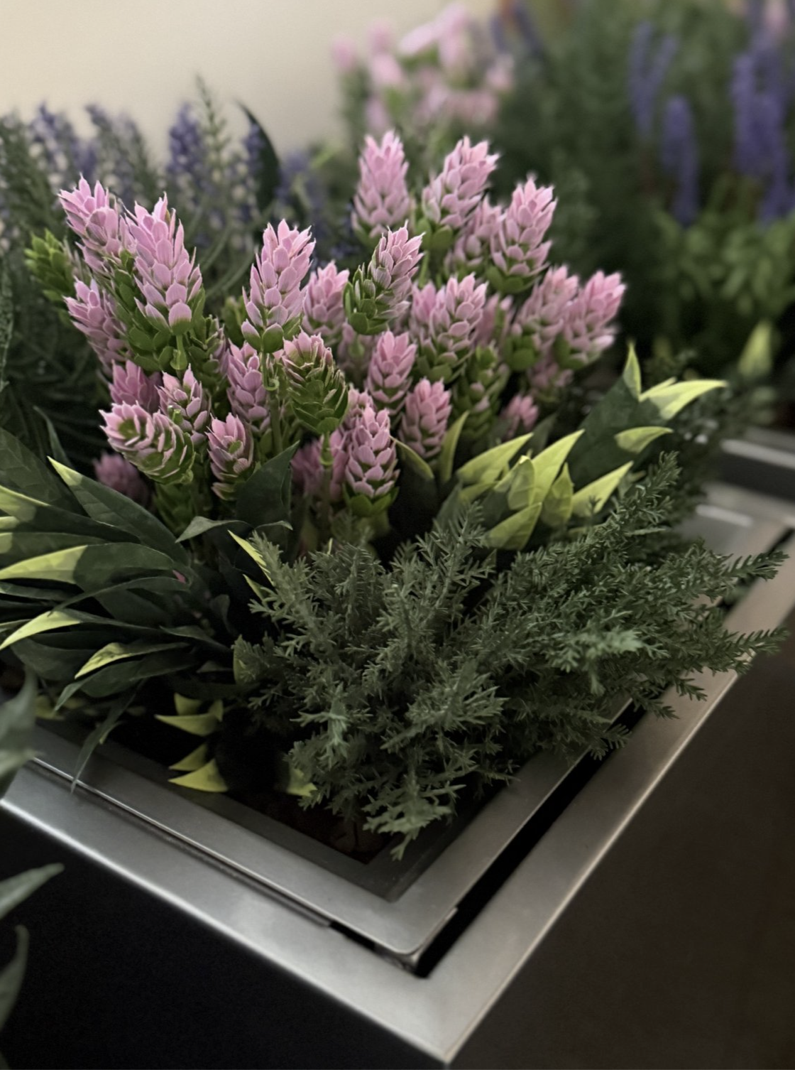 Screenshot 2026-04-13 at 4.39.59 AM