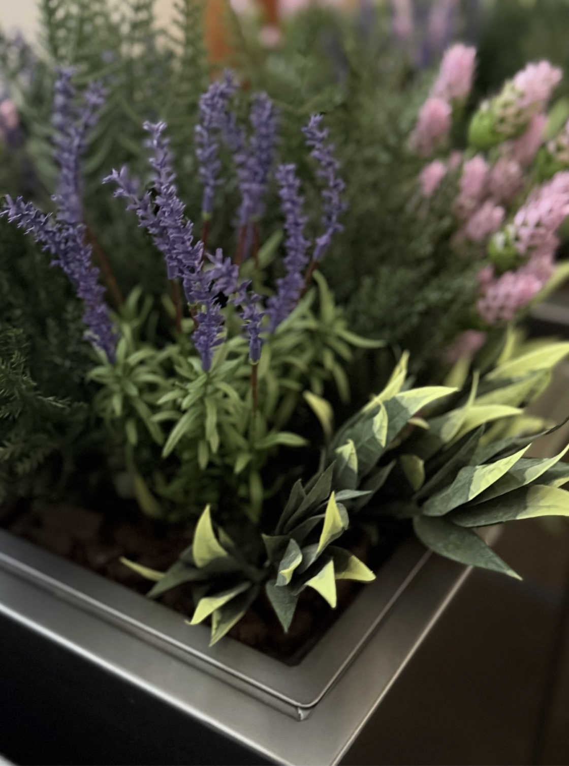 Screenshot 2026-04-13 at 4.40.38 AM