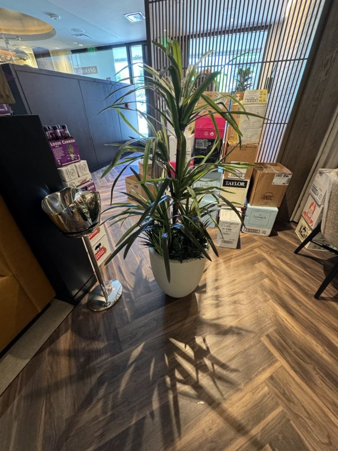 Screenshot 2026-04-15 at 8.10.18 PM